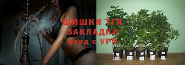 круглые Пересвет