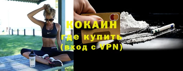 круглые Пересвет