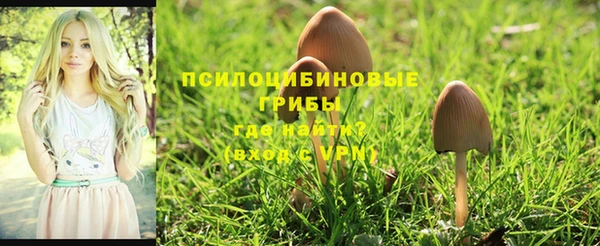 крисы Переславль-Залесский