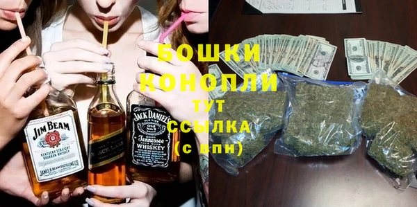 круглые Пересвет