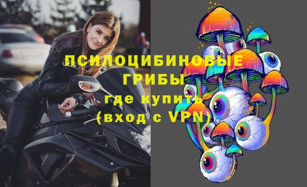меф Пестово