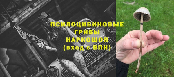 круглые Пересвет
