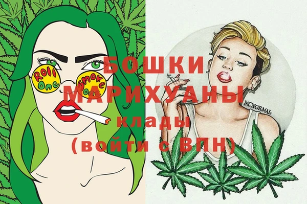 крисы Переславль-Залесский